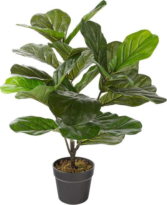 Naturae Decor Fiddle Leaf Plant - Lifelike Artificial Indoor House Plant - 27 in High