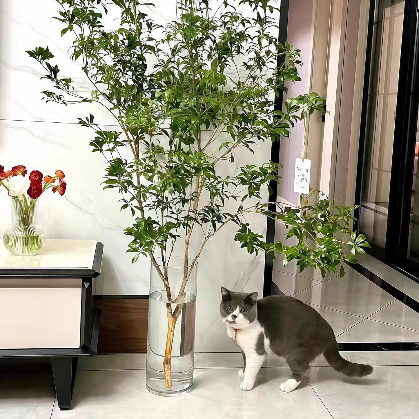 Extra Large Acrylic Cylinder Clear Vase for Floor, 20 in Tall Big Wide Mouth Plastic Unbreakable Hurricane Flower Vases of 3 for Home Decor (D 8", D 6", D 4.8" + 3 Holder)